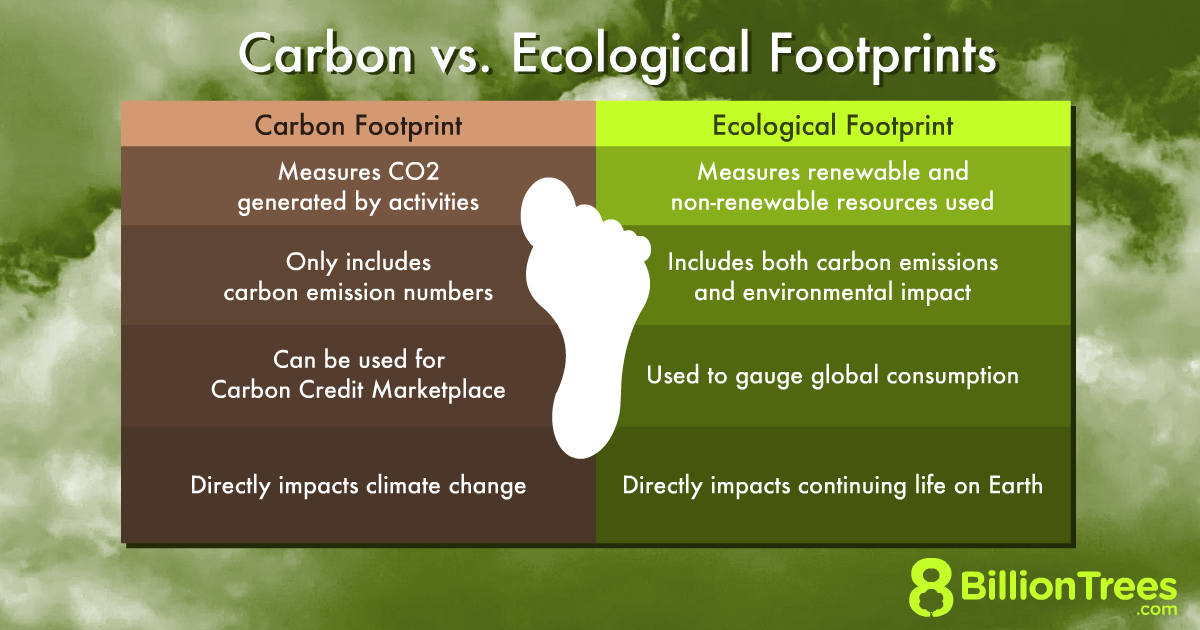 how is a carbon footprint different from an ecological footprint?